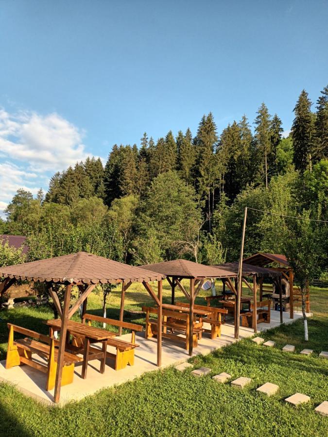 Casa Ursului Villa Vadu Motilor Exterior photo